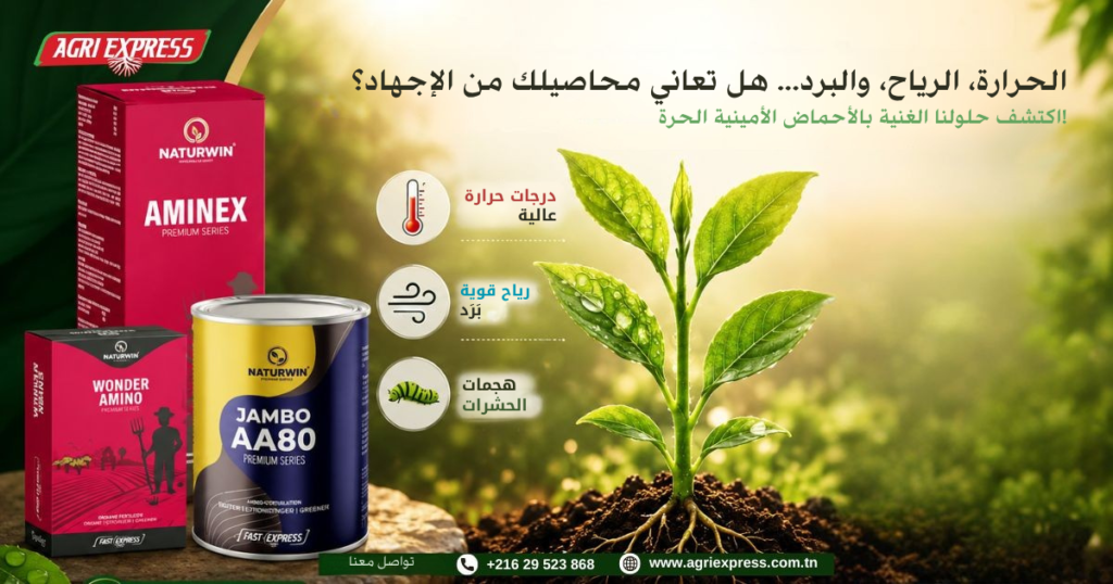 حرارة مرتفعة، الرياح، البَرَد…هل محاصيلك تعاني من الإجهاد؟