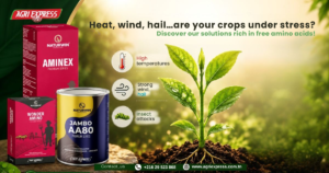 Heat, wind, hail…are your crops under stress?